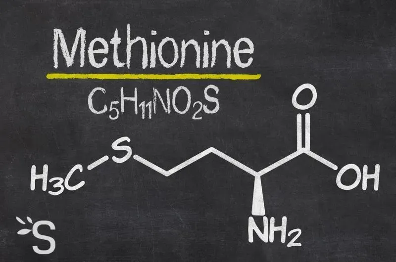 Применение метионин