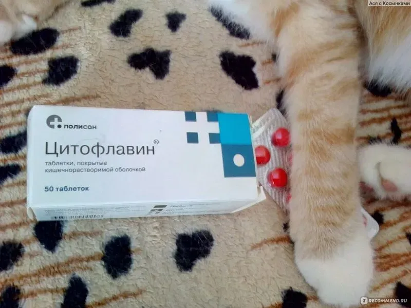 Цитофлавин что за таблетки