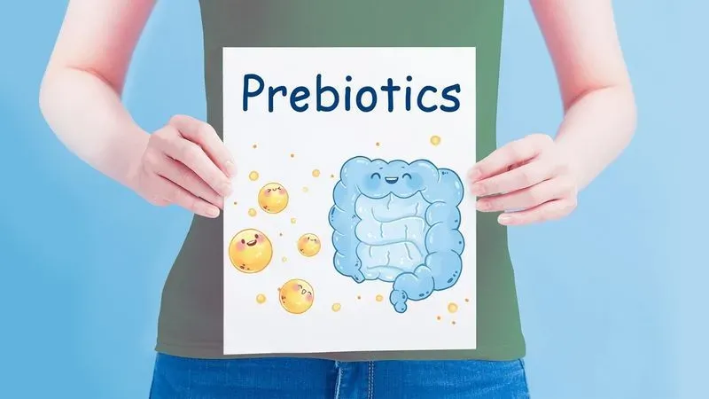 Пробиотики и пребиотики как правильно принимать
