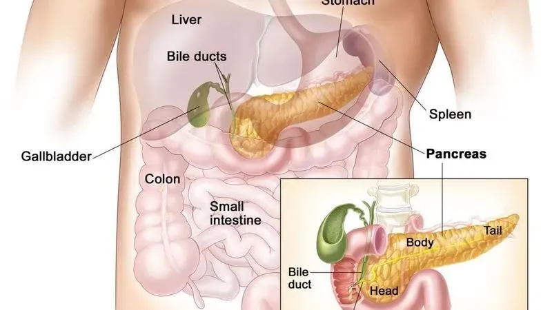 Что такое панкреатит желудка